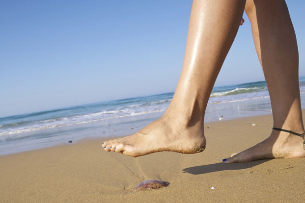 Day at the Beach? Watch Out for These Ocean Ouchies