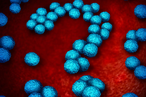 What You Need to Know About Superbugs