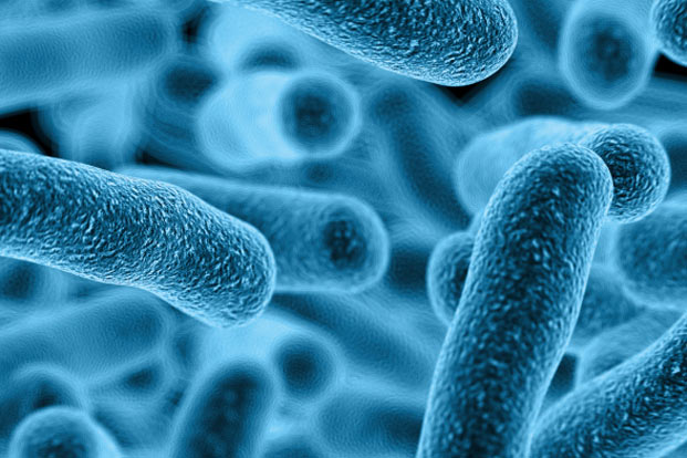 Beneficial Bacteria-5 Healthy Microbes