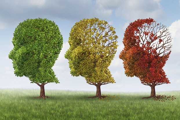 6 Factors that Hasten Mental Decline