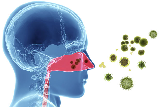 Viral or Bacterial? How to Tell the Difference