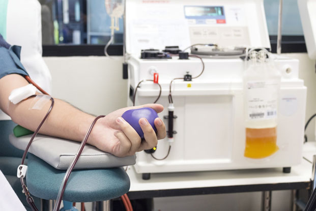 Plasma Donation: What You Need to Know