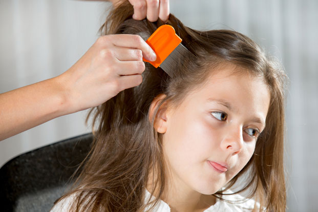 Super Lice? Here’s How to Avoid and Treat Lice